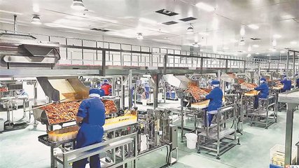 梅斯勒食品集团生产车间 工人们紧张忙碌的食品生产现场