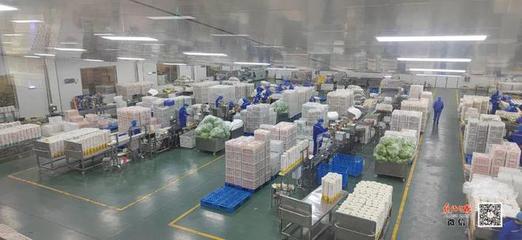 孟州市大定街道 踔厉奋发新征程，勇毅前行著华章——食品生产高质量发展之路