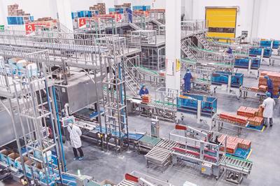 招大引强壮大食品产业链 谱写销售新篇章