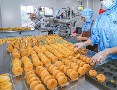 南京GMP食品车间净化专家 清阳工程助力食品安全与高效销售