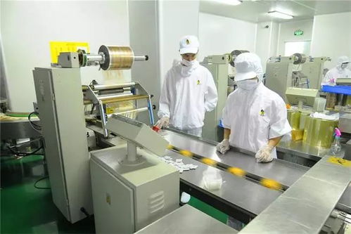 食品加工厂霉菌污染的综合防控策略与实践指南