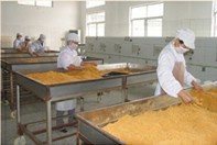 精选肉松批发 黄金松、原味、辣味、鸡肉松一站式供应，量大优惠包邮